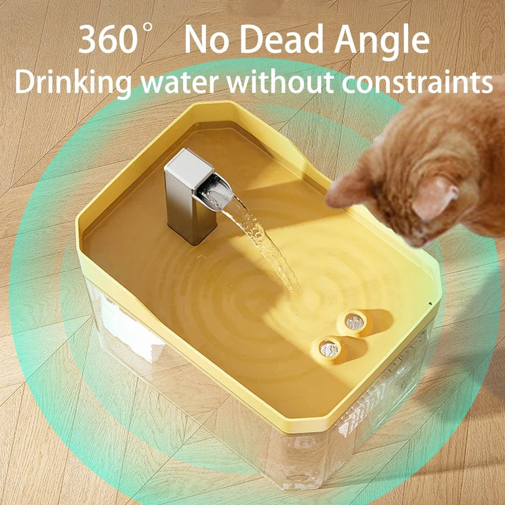 Cat Water Fountain with Auto-Filter Pump