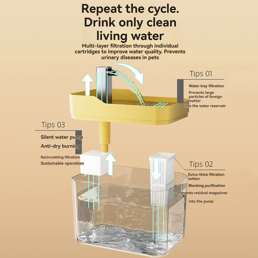 Cat Water Fountain with Auto-Filter Pump